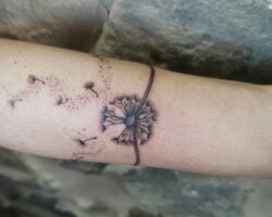 2664546578