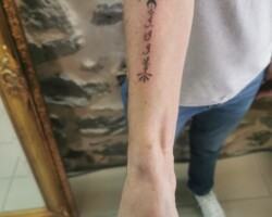 3856367523